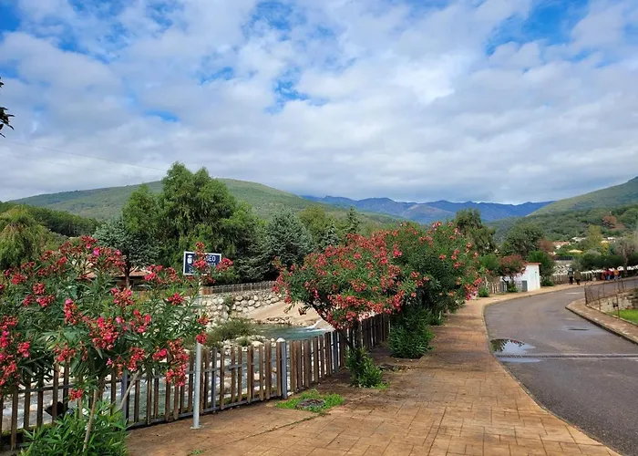 Relaxing Time 칸델레다